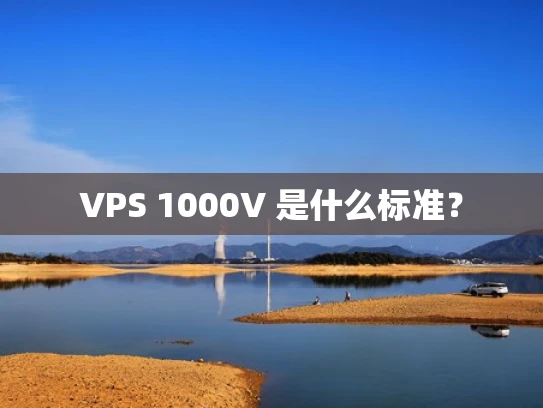VPS 1000V 是什么标准？