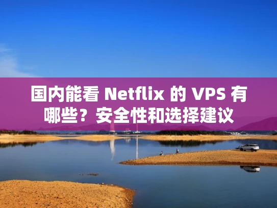 国内能看 Netflix 的 VPS 有哪些？安全性和选择建议