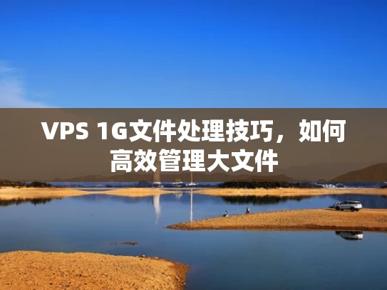 VPS 1G文件处理技巧，如何高效管理大文件