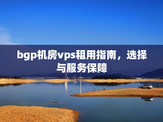 bgp机房vps租用指南，选择与服务保障