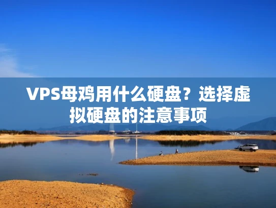 VPS母鸡用什么硬盘？选择虚拟硬盘的注意事项