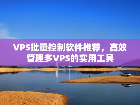 VPS批量控制软件推荐，高效管理多VPS的实用工具