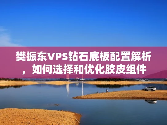 樊振东VPS钻石底板配置解析，如何选择和优化胶皮组件