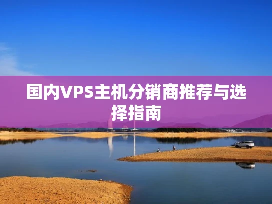 国内VPS主机分销商推荐与选择指南