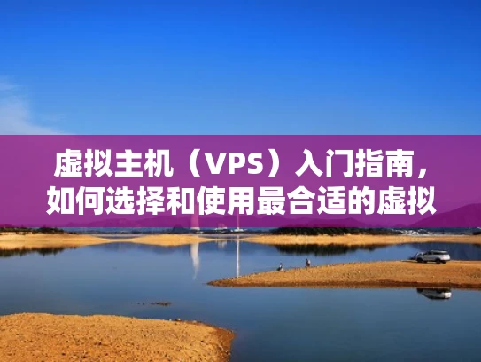虚拟主机（VPS）入门指南，如何选择和使用最合适的虚拟主机服务