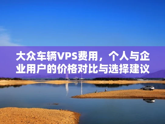 大众车辆VPS费用，个人与企业用户的价格对比与选择建议