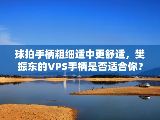 球拍手柄粗细适中更舒适，樊振东的VPS手柄是否适合你？