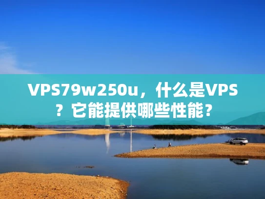 VPS79w250u，什么是VPS？它能提供哪些性能？