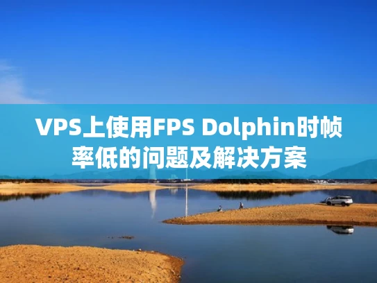 VPS上使用FPS Dolphin时帧率低的问题及解决方案