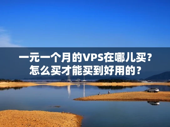一元一个月的VPS在哪儿买？怎么买才能买到好用的？
