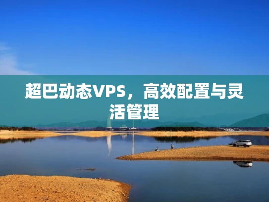超巴动态VPS，高效配置与灵活管理