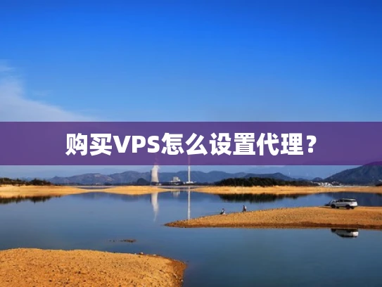 购买VPS怎么设置代理？