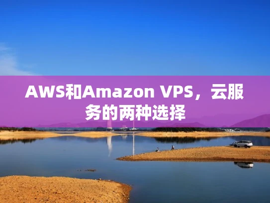 AWS和Amazon VPS，云服务的两种选择
