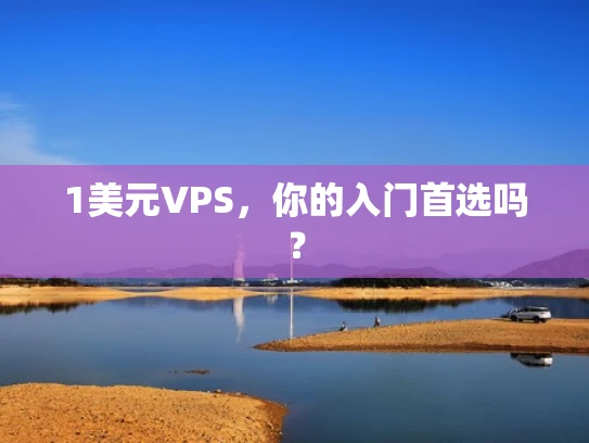 1美元VPS，你的入门首选吗？