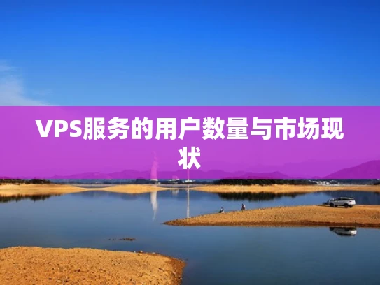 VPS服务的用户数量与市场现状