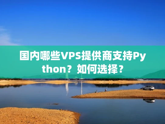 国内哪些VPS提供商支持Python？如何选择？