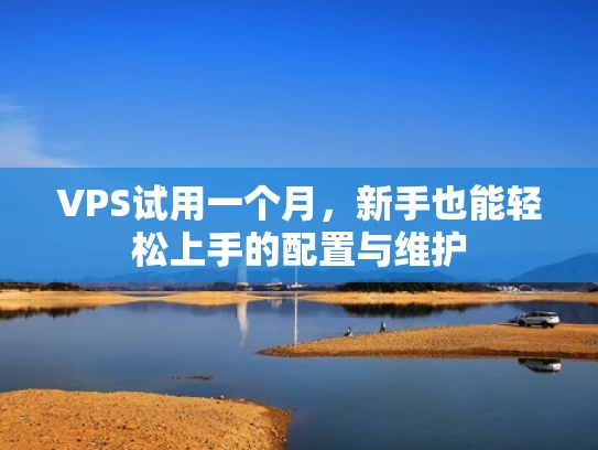 VPS试用一个月，新手也能轻松上手的配置与维护