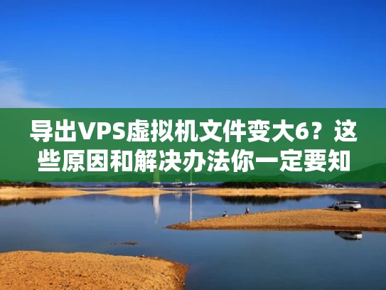 导出VPS虚拟机文件变大6？这些原因和解决办法你一定要知道！
