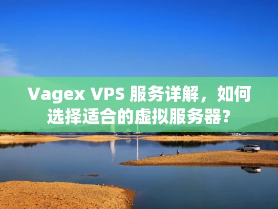 Vagex VPS 服务详解，如何选择适合的虚拟服务器？