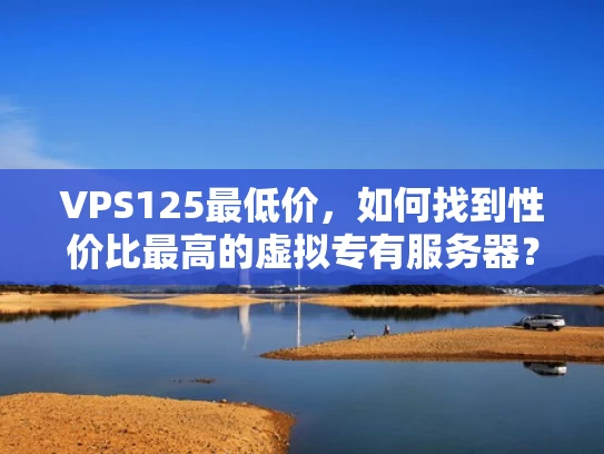 VPS125最低价，如何找到性价比最高的虚拟专有服务器？
