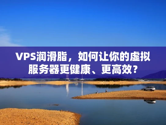 VPS润滑脂，如何让你的虚拟服务器更健康、更高效？