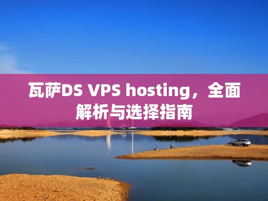 瓦萨DS VPS hosting，全面解析与选择指南