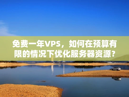 免费一年VPS，如何在预算有限的情况下优化服务器资源？