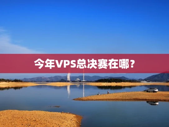 今年VPS总决赛在哪？