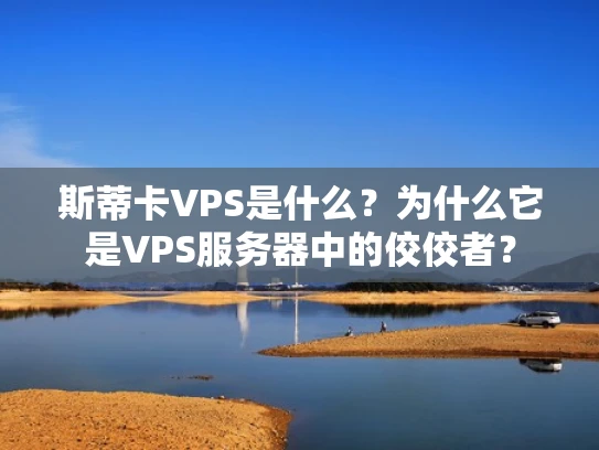 斯蒂卡VPS是什么？为什么它是VPS服务器中的佼佼者？