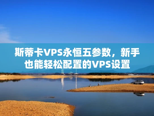 斯蒂卡VPS永恒五参数，新手也能轻松配置的VPS设置