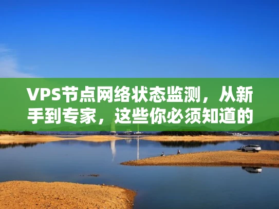 VPS节点网络状态监测，从新手到专家，这些你必须知道的技巧！