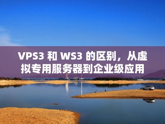 VPS3 和 WS3 的区别，从虚拟专用服务器到企业级应用