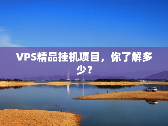 VPS精品挂机项目，你了解多少？