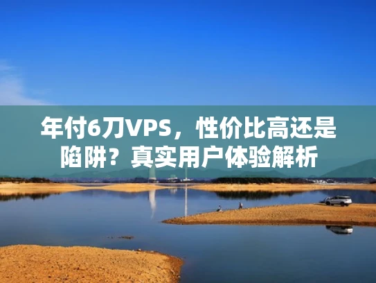 年付6刀VPS，性价比高还是陷阱？真实用户体验解析
