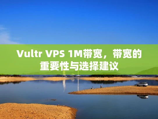 Vultr VPS 1M带宽，带宽的重要性与选择建议