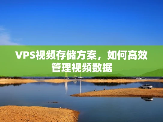 VPS视频存储方案，如何高效管理视频数据