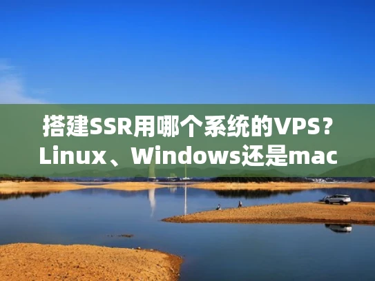 搭建SSR用哪个系统的VPS？Linux、Windows还是macOS？