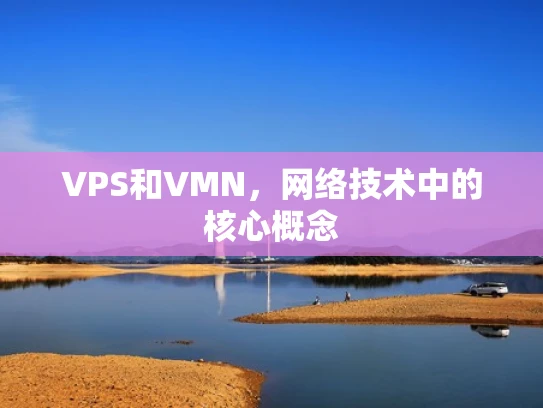 VPS和VMN，网络技术中的核心概念