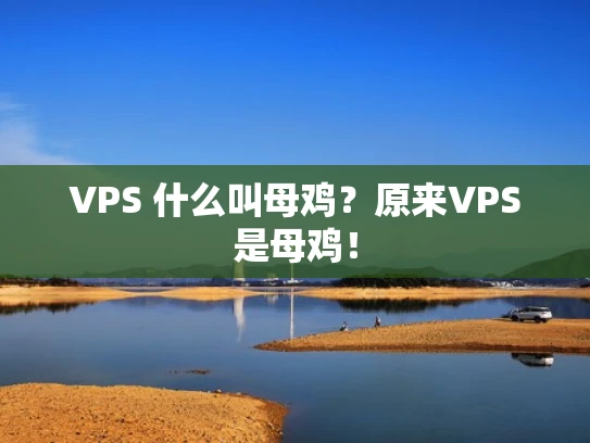 VPS 什么叫母鸡？原来VPS是母鸡！