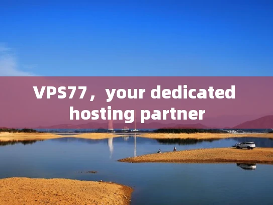 VPS77，your dedicated hosting partner