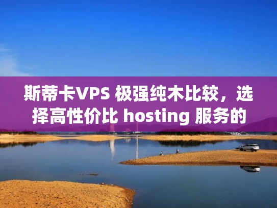 斯蒂卡VPS 极强纯木比较，选择高性价比 hosting 服务的指南