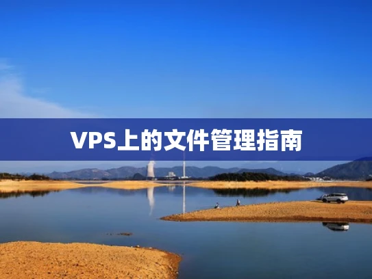 VPS上的文件管理指南