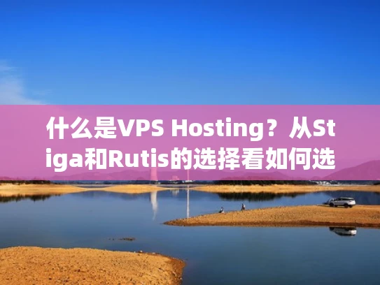 什么是VPS Hosting？从Stiga和Rutis的选择看如何选择一家可靠的云服务器提供商