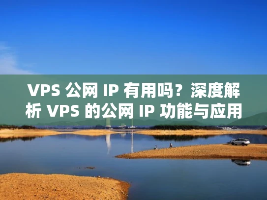 VPS 公网 IP 有用吗？深度解析 VPS 的公网 IP 功能与应用