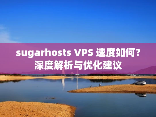 sugarhosts VPS 速度如何？深度解析与优化建议