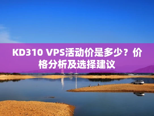 KD310 VPS活动价是多少？价格分析及选择建议