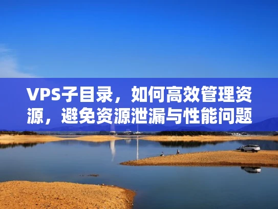 VPS子目录，如何高效管理资源，避免资源泄漏与性能问题