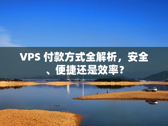 VPS 付款方式全解析，安全、便捷还是效率？