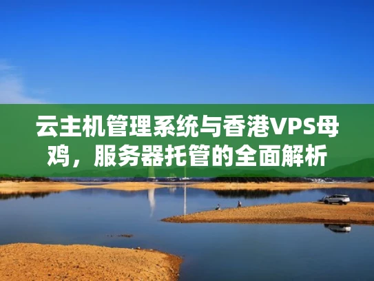 云主机管理系统与香港VPS母鸡，服务器托管的全面解析