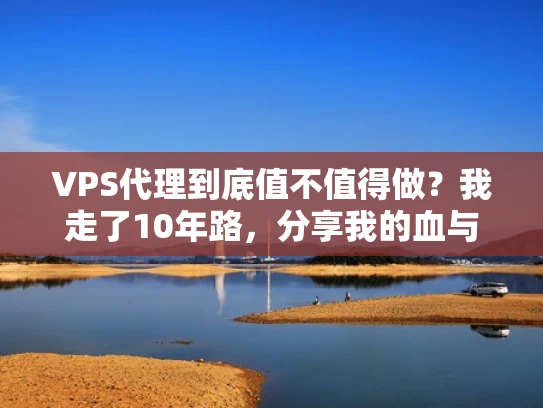 VPS代理到底值不值得做？我走了10年路，分享我的血与泪